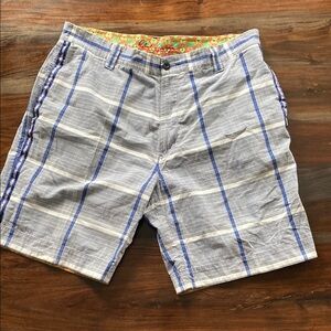 Robert Graham Gray and Blue Striped Shorts